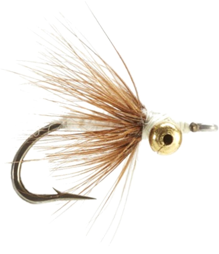 DSF 22 Hindsholm Fly